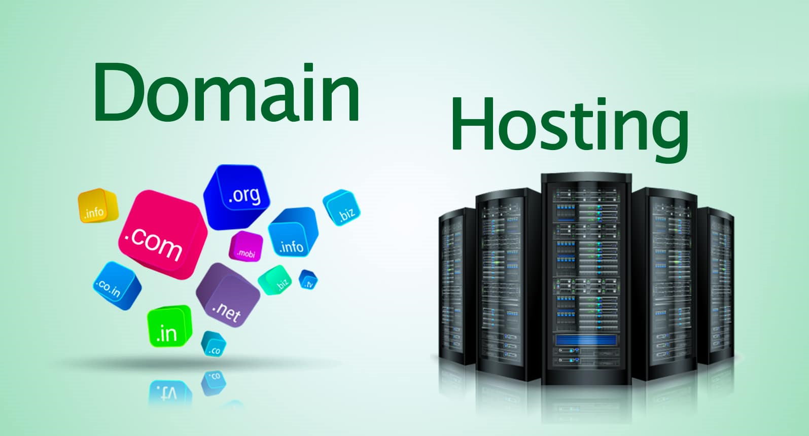 membeli hosting dan domain